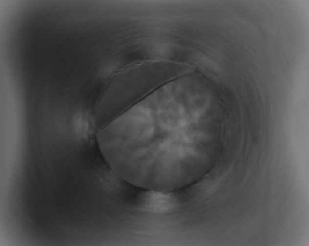 X0000102810528200808251112