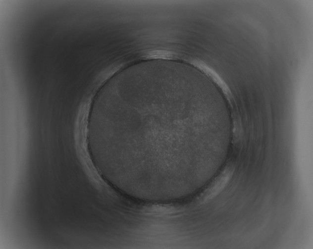 X0000102810529200808251111