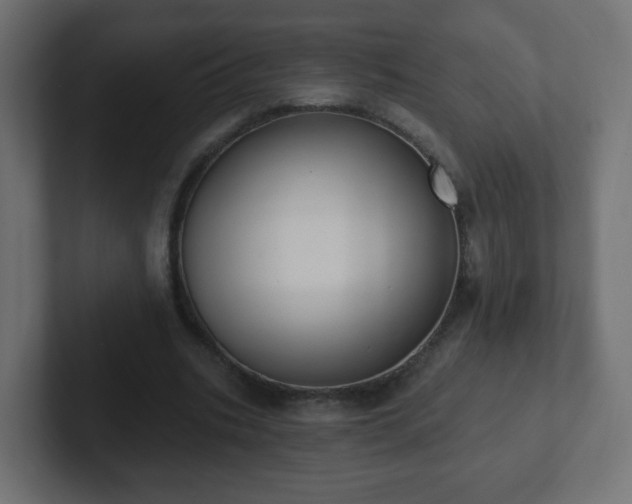 X0000102810535200808251111