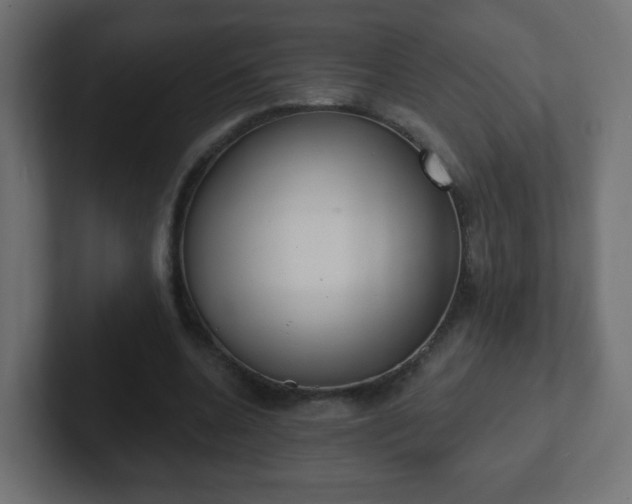 X0000102810536200808251111