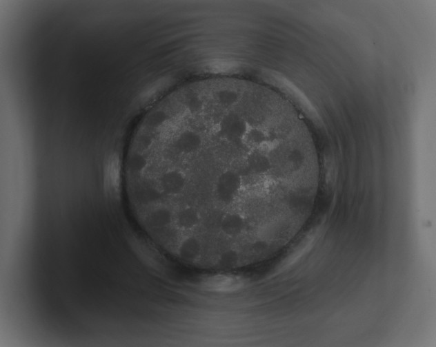 X0000102810542200808251111