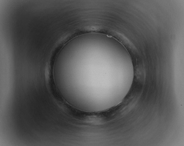 X0000102810544200808251111