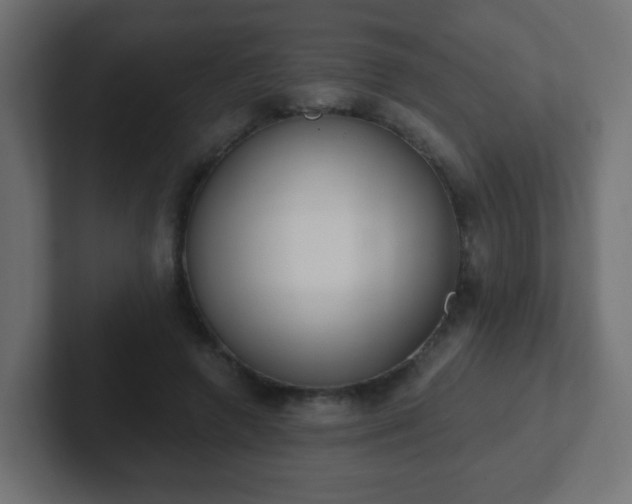 X0000102810546200808251111