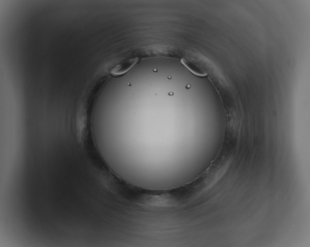 X0000102810548200808251111