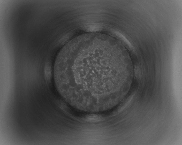 X0000102810549200808251111