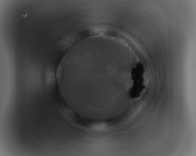 X0000102810551200808251111