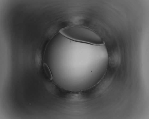 X0000102810552200808251111