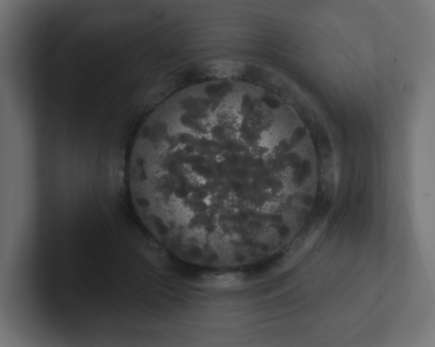 X0000102810553200808251111