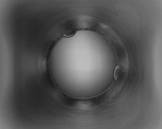 X0000102810556200808251111