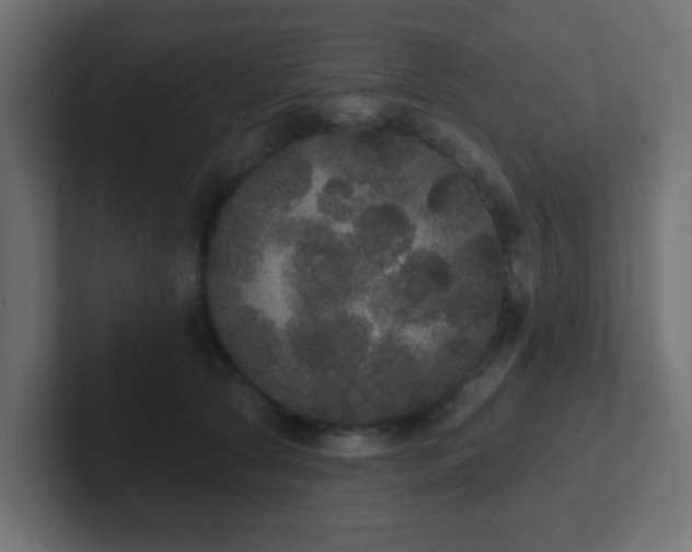 X0000102810561200808251111