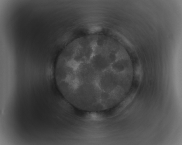 X0000102810565200808251112