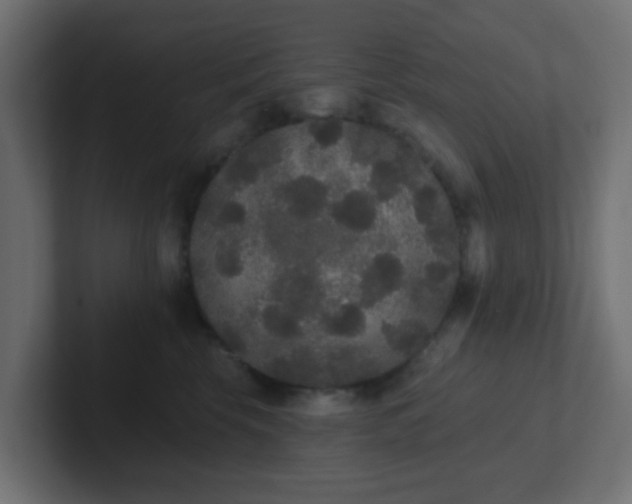 X0000102810569200808251112