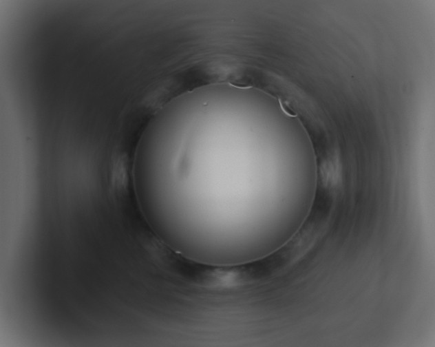 X0000102810570200808251112