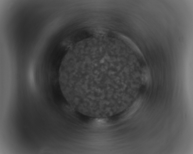 X0000102810573200808251112