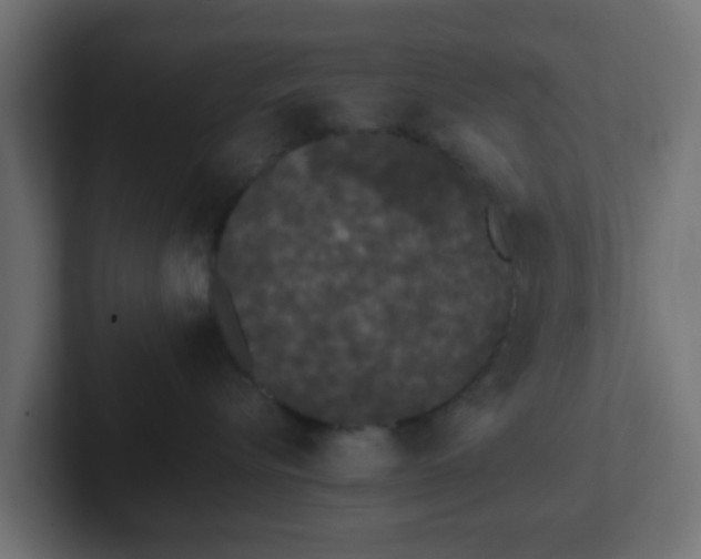 X0000102810576200808251112