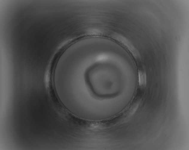 X0000102810579200808251111