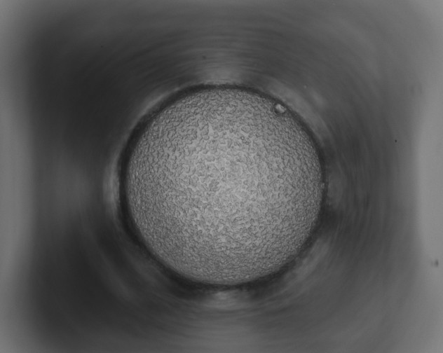 X0000102810584200808251111