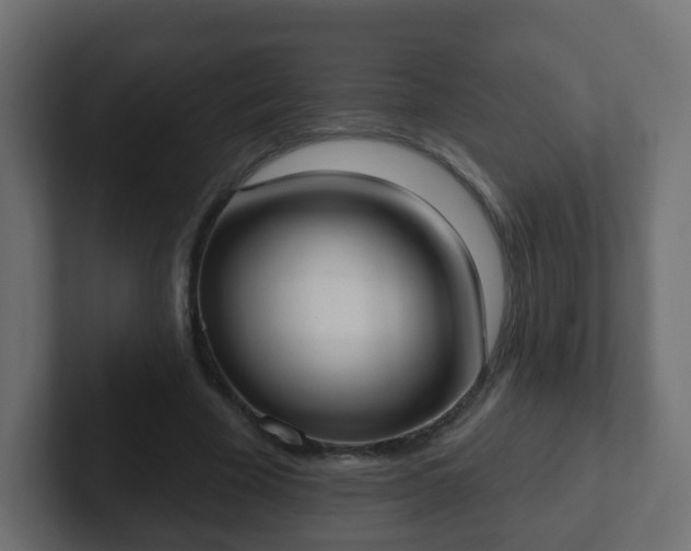 X0000102810585200808251111