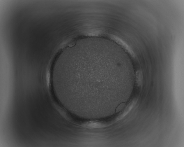 X0000102810589200808251111