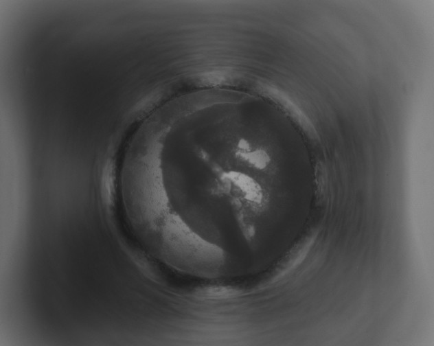 X0000102810590200808251111