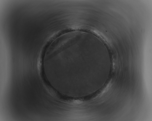 X0000102810592200808251111