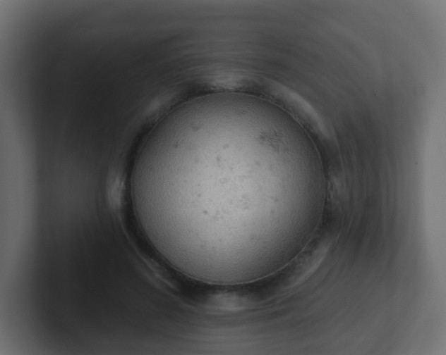 X0000102810596200808251111