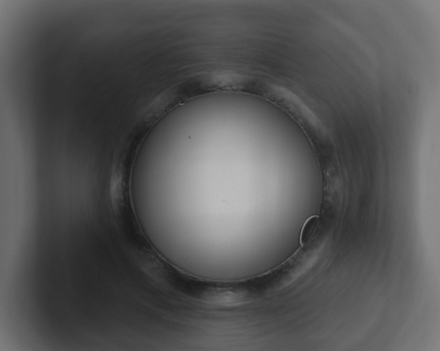 X0000102810597200808251111