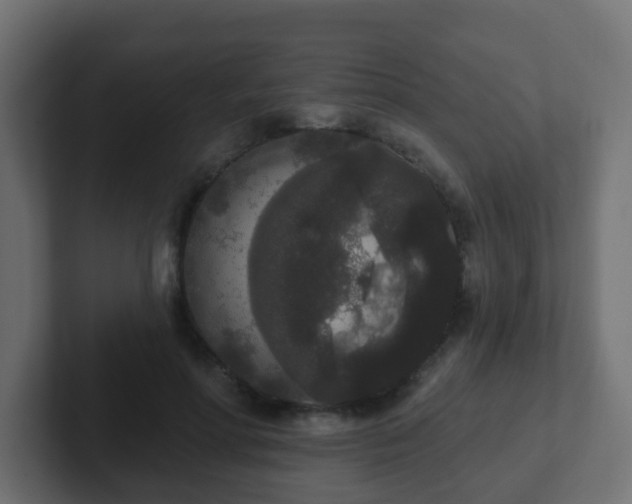 X0000102810598200808251111