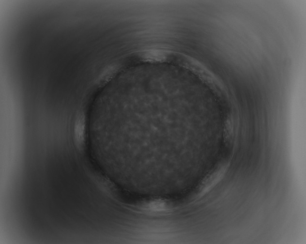 X0000102810600200808251111