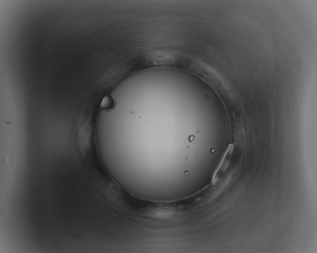 X0000102810604200808251111