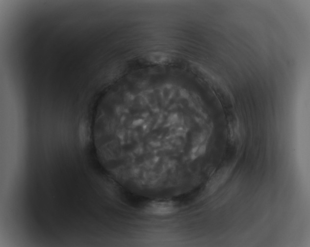 X0000102810606200808251111