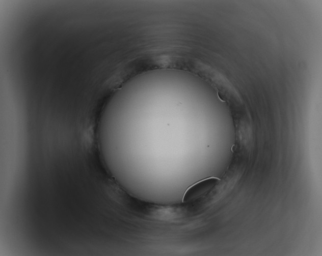 X0000102810611200808251110