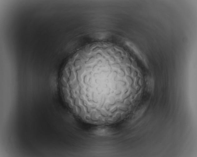 X0000102810612200808251110