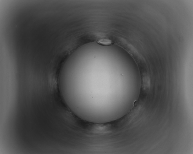 X0000102810613200808251110