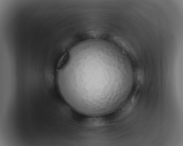 X0000102810615200808251110