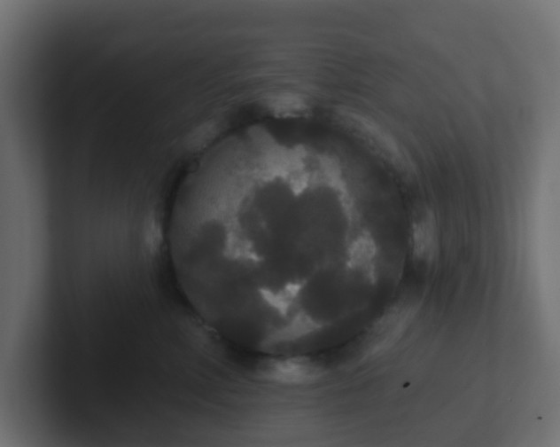 X0000102810618200808251110