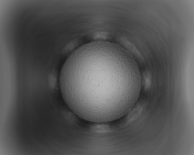 X0000102810619200808251110