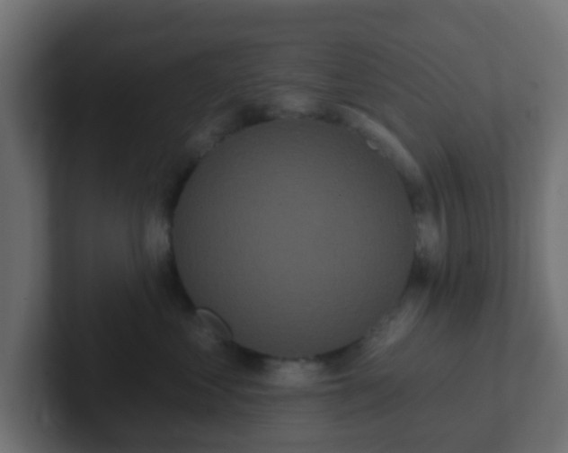 X0000102810621200808251110