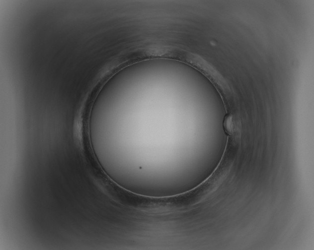 X0000102810626200808251110