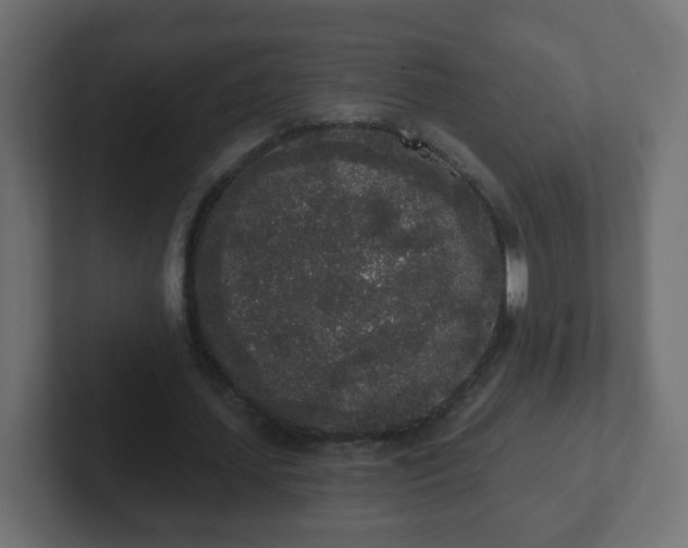 X0000102810627200808251110