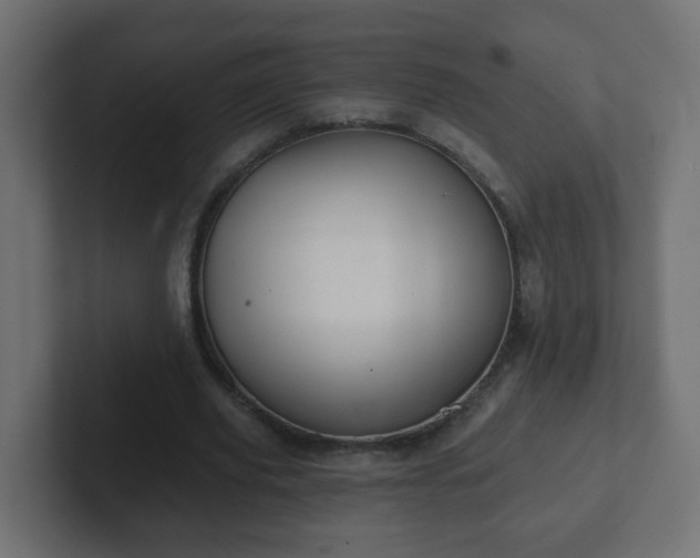 X0000102810629200808251110