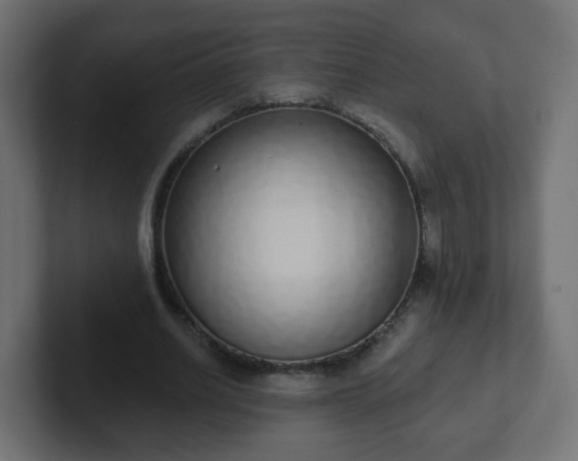 X0000102810630200808251110