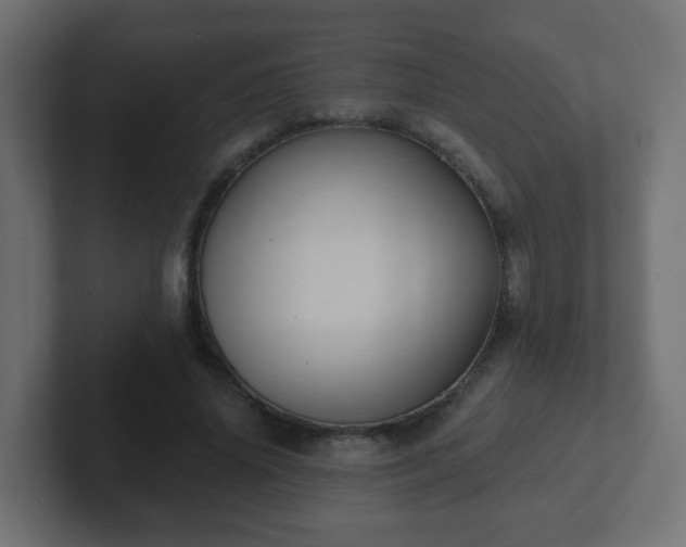 X0000102810636200808251110