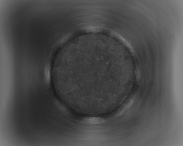 X0000102810637200808251110