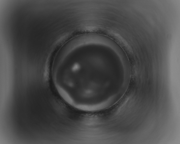 X0000102810640200808251110