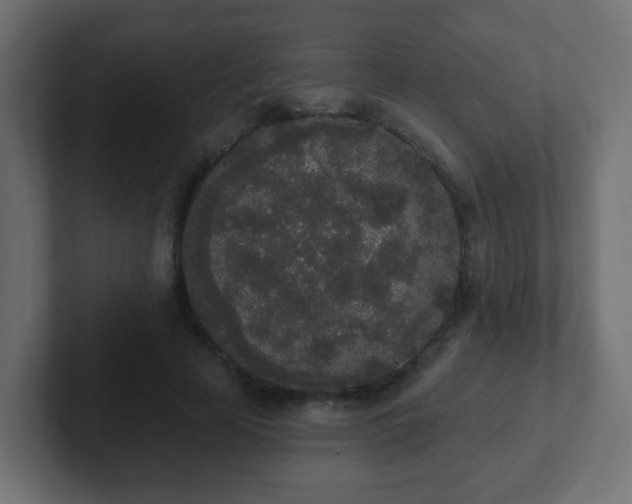 X0000102810641200808251110