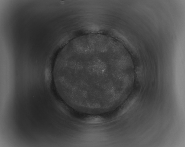 X0000102810642200808251110