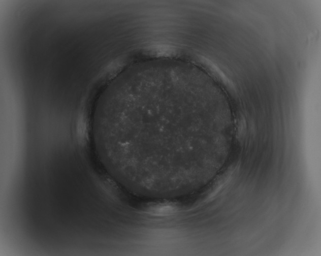 X0000102810643200808251110