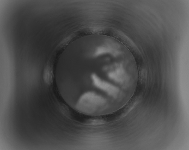 X0000102810644200808251110