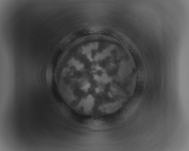 X0000102810648200808251110